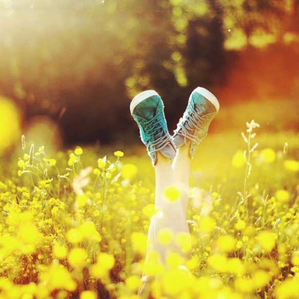 art-converse-legs-nature-Favim.com-845658